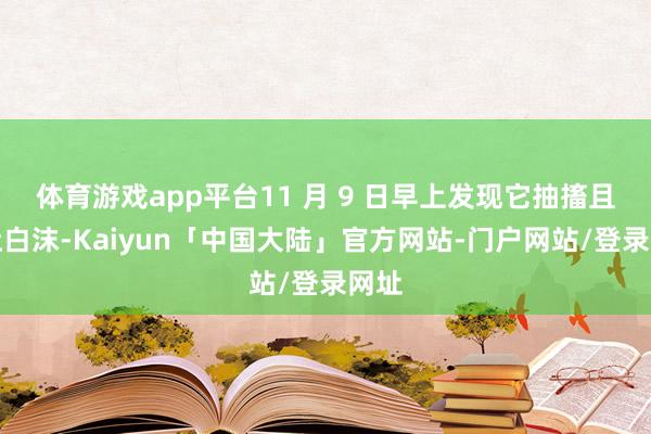 体育游戏app平台11 月 9 日早上发现它抽搐且口吐白沫-Kaiyun「中国大陆」官方网站-门户网站/登录网址