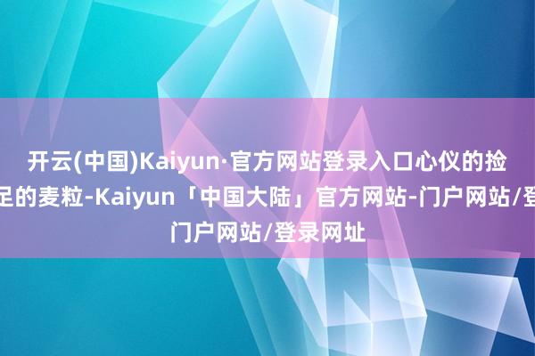 开云(中国)Kaiyun·官方网站登录入口心仪的捡起了充足的麦粒-Kaiyun「中国大陆」官方网站-门户网站/登录网址