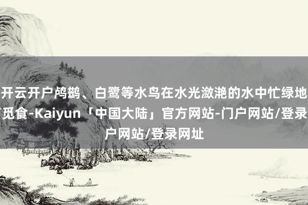 开云开户鸬鹚、白鹭等水鸟在水光潋滟的水中忙绿地哺育觅食-Kaiyun「中国大陆」官方网站-门户网站/登录网址