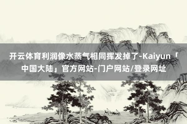 开云体育利润像水蒸气相同挥发掉了-Kaiyun「中国大陆」官方网站-门户网站/登录网址